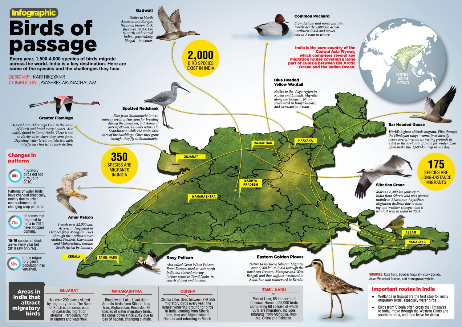 Birds Of Passage