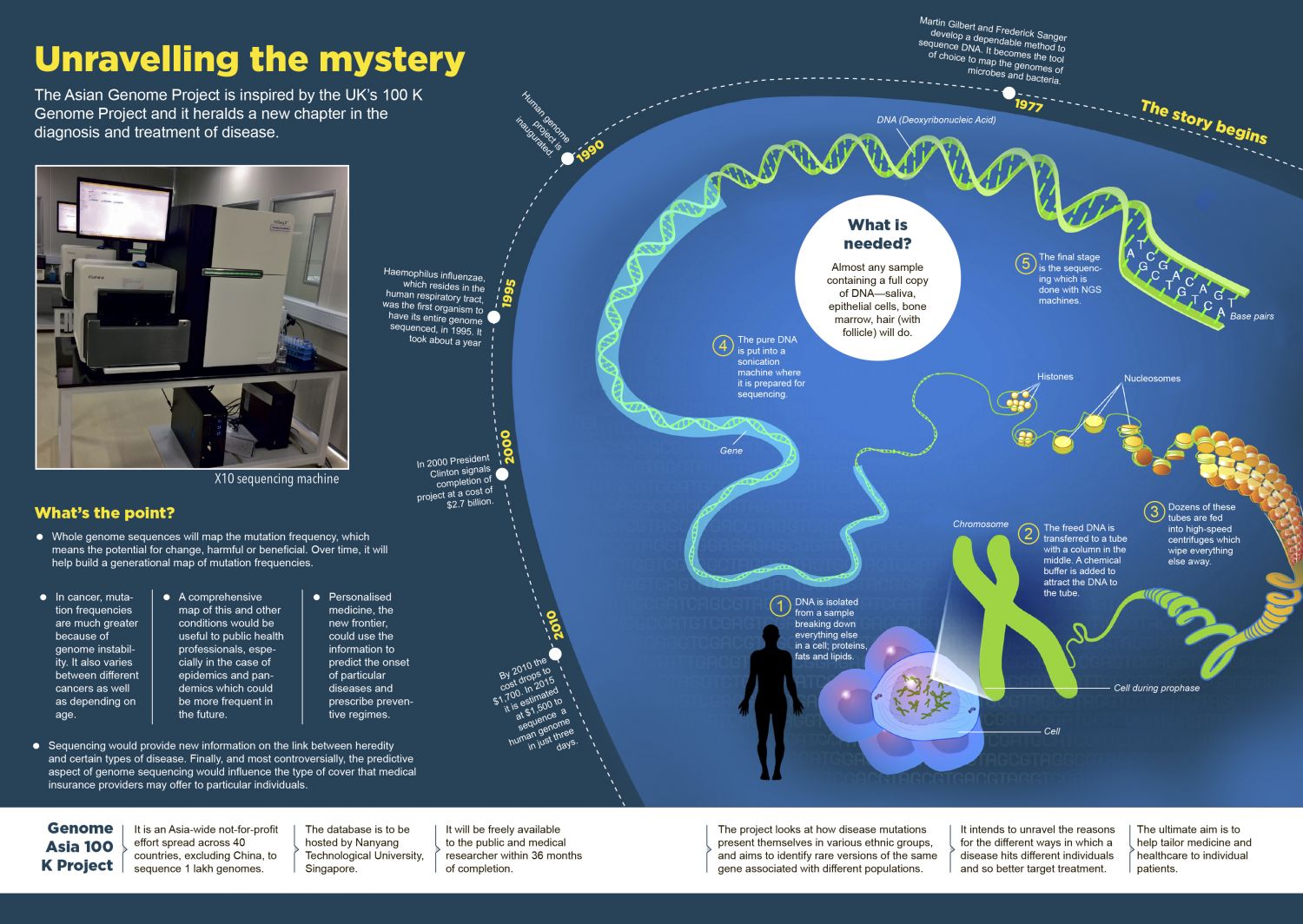 Unravelling The Mystery