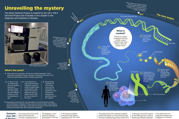 Unravelling The Mystery