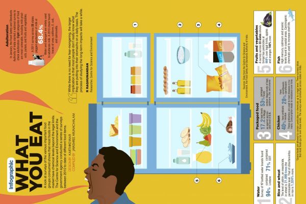 What You Eat