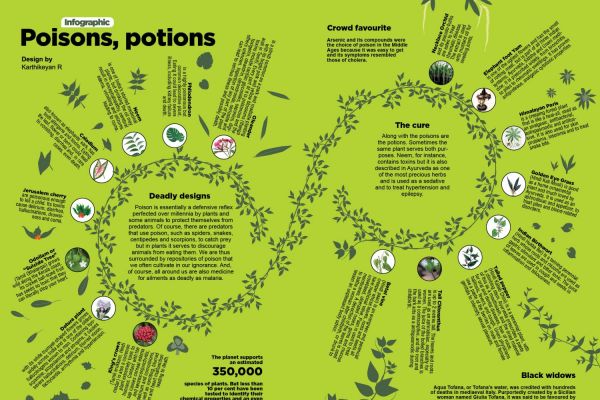 Poisons, Potions 