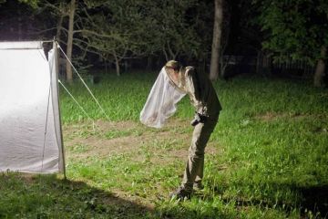 The changing country