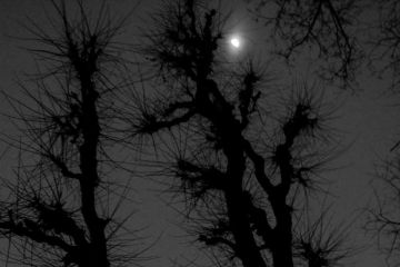 I’ll be looking at the moon 
but I’ll be seeing you