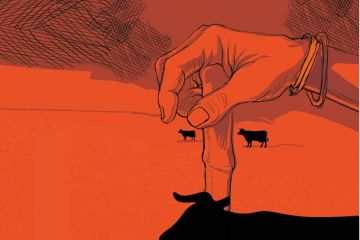 Knights of the udder and their grail quest