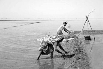 The salt of the Rann