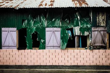 Native and the immigrant