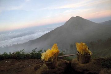 Miners of the Devil's Gold