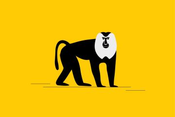 The mile that saved the macaques