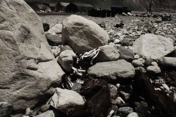 Hard labour in high country