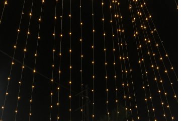 The festival of blights