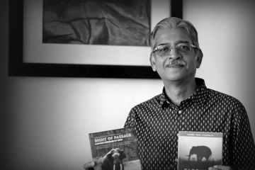 The reader of elephant trails