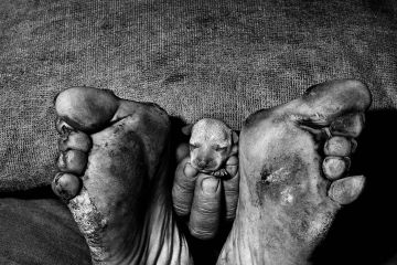 Through the looking glass