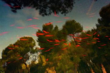 The mouth of Krishna